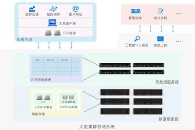 大魚存儲技術解析 海量小文件處理與聚存科技的數據分析之道